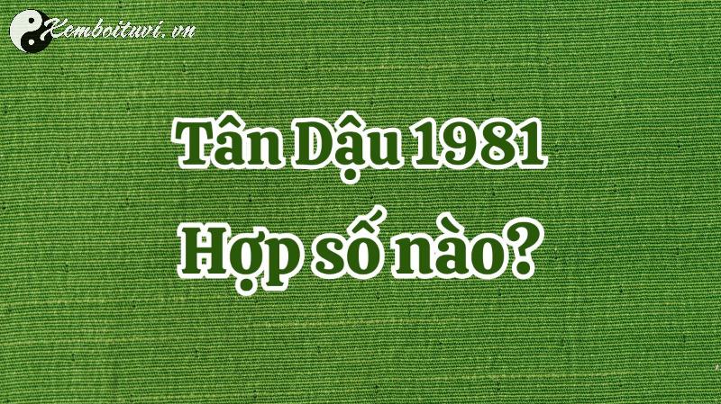 Người Sinh Năm 1981: Bí Mật Con Số May Mắn và Sim Phong Thủy Tài Lộc