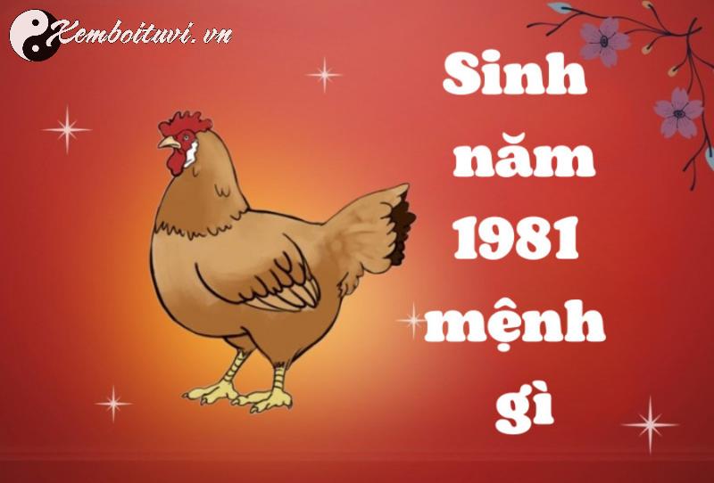 Người Sinh Năm 1981: Bí Mật Con Số May Mắn và Sim Phong Thủy Tài Lộc