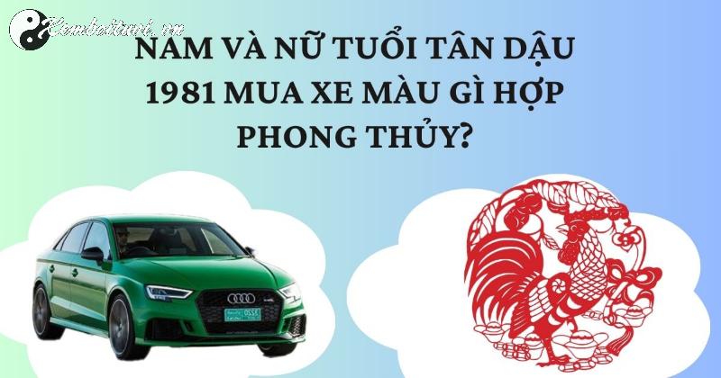 Người Sinh Năm 1981 Nên Mua Xe Màu Gì Để Đón Tài Lộc và Bình An?