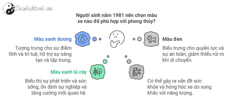 Người Sinh Năm 1981 Nên Mua Xe Màu Gì Để Đón Tài Lộc và Bình An?