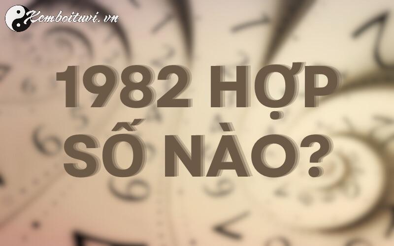 Khám Phá Bí Mật: Người Sinh Năm 1982 Hợp Số Mấy? Chọn Sim Phong Thủy Mang Tài Lộc!