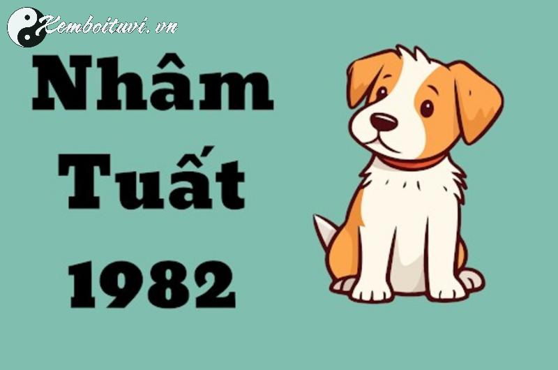 Khám Phá Bí Mật: Người Sinh Năm 1982 Hợp Số Mấy? Chọn Sim Phong Thủy Mang Tài Lộc!