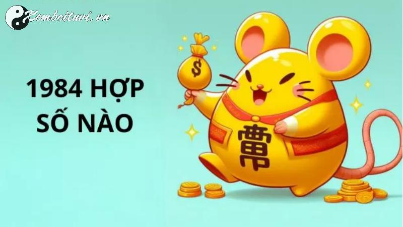 Khám Phá Bí Mật Phong Thủy: Người Sinh Năm 1984 Hợp Số Nào Để Thu Hút Tài Lộc?