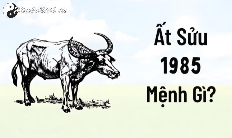 Bí Mật Phong Thủy Giường Ngủ Giúp Người Tuổi Ất Sửu 1985 Đổi Đời