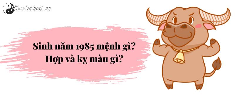 Khám Phá Bí Mật: Sinh Năm 1985 Hợp Màu Gì Để Thu Hút May Mắn và Tài Lộc?