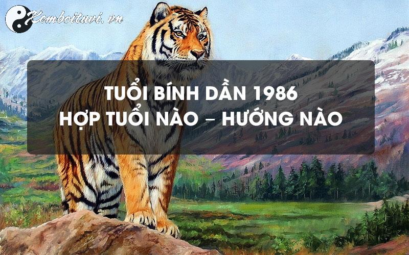 Hướng Bàn Làm Việc Cho Người Sinh Năm 1986: Bí Quyết Thu Hút Tài Lộc Và Thành Công