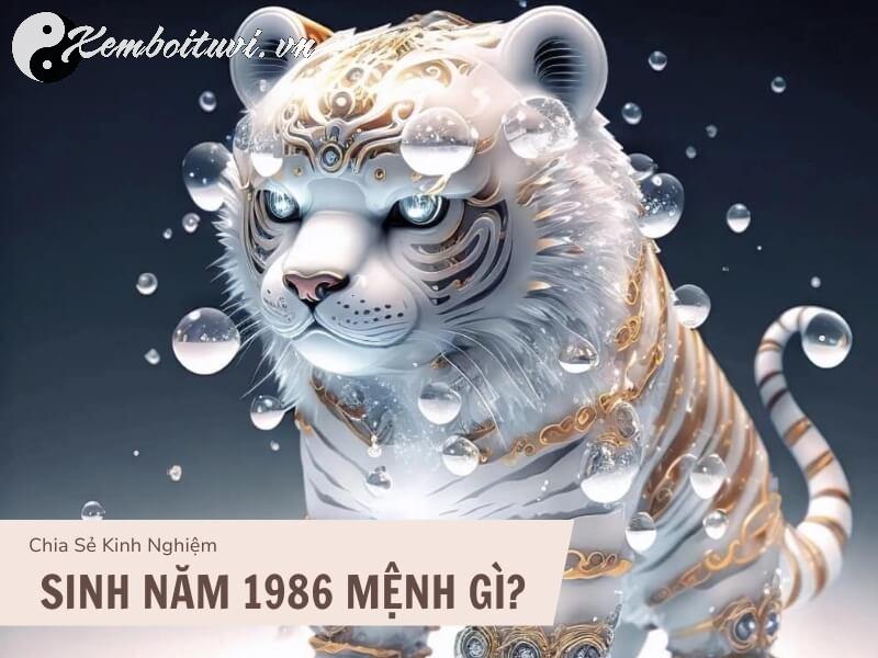 Người Sinh Năm 1986 Phải Biết: Màu Sắc Nào Mang Lại May Mắn Và Tài Lộc?