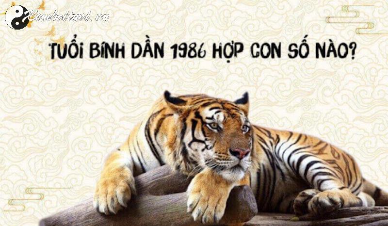 Người Sinh Năm 1986: Số May Mắn Nào Thay Đổi Vận Mệnh? Sim Phong Thủy Nào Mang Lại Tài Lộc