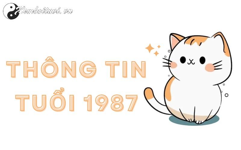 Hé Lộ Hướng Kê Giường Ngủ Giúp Người Sinh Năm 1987 Thu Hút Tài Lộc Và Bình An