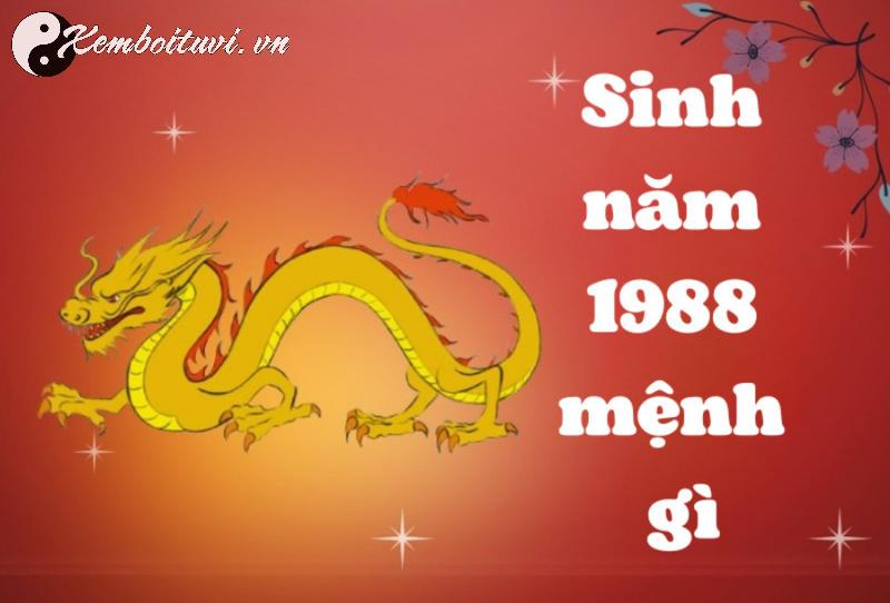 Khám Phá Màu Sắc May Mắn Cho Người Sinh Năm 1988: Bí Quyết Tăng Tài Lộc Và Vận May!