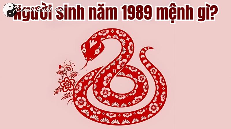 Khám Phá Bí Mật: Sinh Năm 1989 Hợp Màu Gì Để Thu Hút Tài Lộc Và May Mắn?