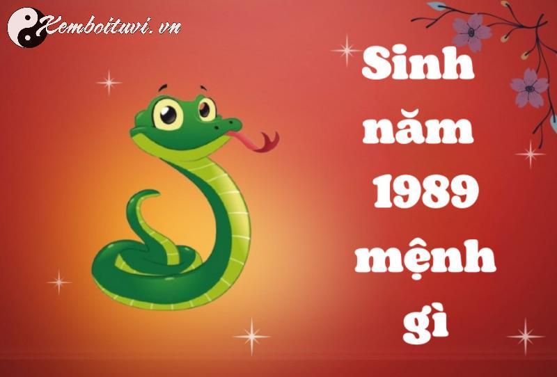 Sinh Năm 1989? Màu Xe Này Có Thể Thay Đổi Vận Mệnh Của Bạn Ngay Lập Tức!