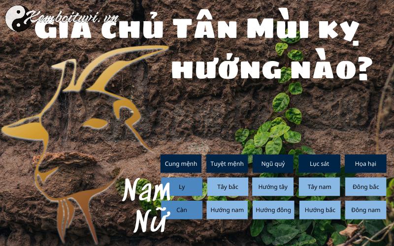 Bí Mật Phong Thủy Tuổi Tân Mùi 1991: Chọn Hướng Nào Để Cuộc Sống Thăng Hoa?