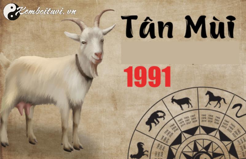 Sinh Năm 1991 Mua Xe Màu Gì Để Đón Tài Lộc Và Tránh Vận Rủi?