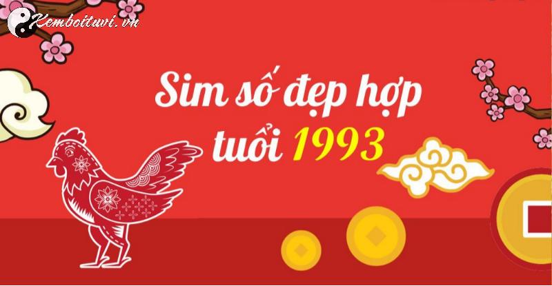 Sinh Năm 1993 Hợp Số Nào Để Thu Hút Tài Lộc Và May Mắn? Cách Chọn Sim Phong Thủy Đúng Chuẩn Cho Tuổi Quý Dậu!