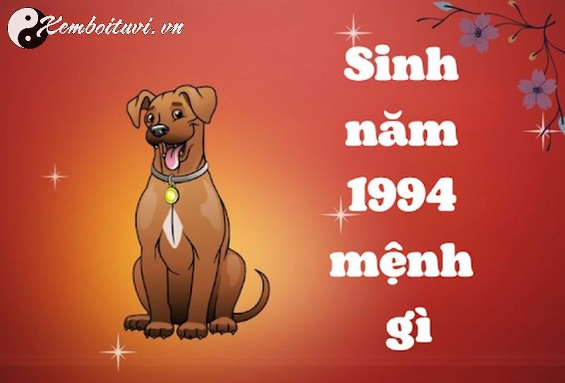 Người Sinh Năm 1994 Hợp Hướng Nào Để Cuộc Sống Phát Đạt và Bình An?