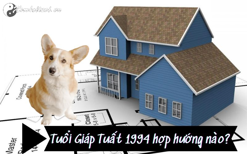Sinh năm 1994 mệnh gì? Khám phá cung mệnh, tính cách và phong thủy hợp tuổi Giáp Tuất