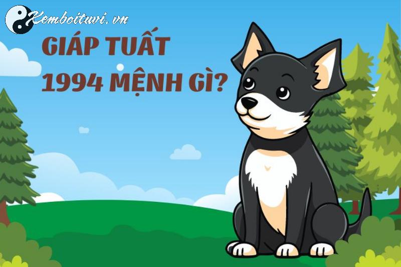 Người Sinh Năm 1994 Nên Chọn Màu Xe Gì Để Thu Hút Tài Lộc Và May Mắn?