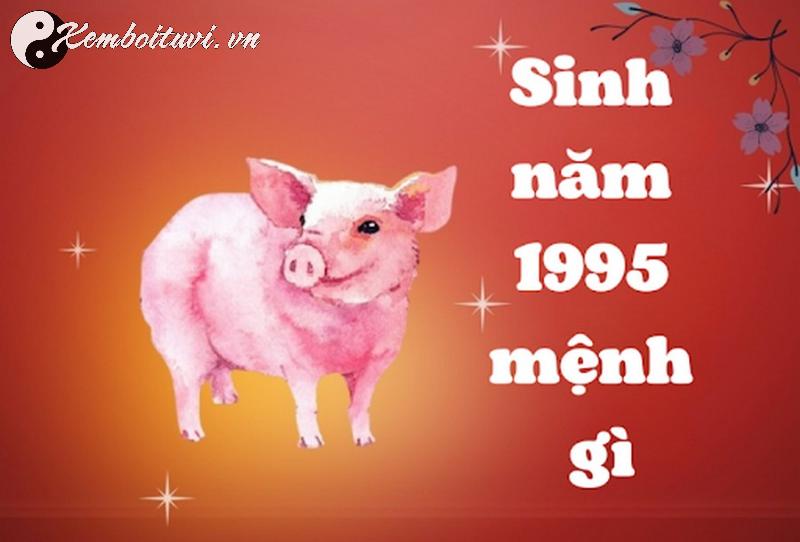 Kê Giường Đúng Hướng Cho Người Sinh Năm 1995: Bí Quyết Thu Hút May Mắn Và Tài Lộc