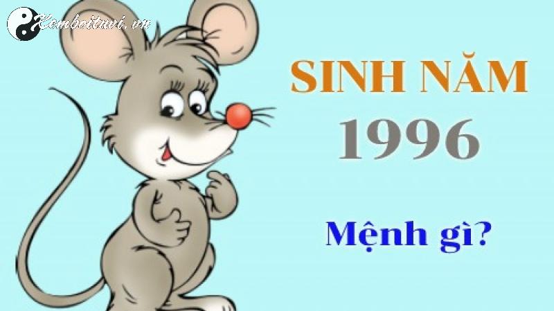 Khám Phá Bí Mật Màu Sắc Giúp Người Sinh Năm 1996 Bính Tý Thu Hút May Mắn Và Tài Lộc!