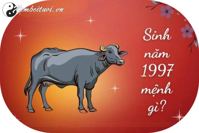 Sinh Năm 1997: Chọn Đúng Hướng Nhà Để Đón Tài Lộc Và Sức Khỏe Bền Lâu!