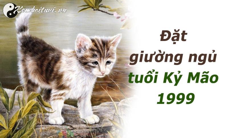 Bí Mật Phong Thủy: Hướng Kê Giường Ngủ Mang Lại May Mắn Cho Người Sinh Năm 1999