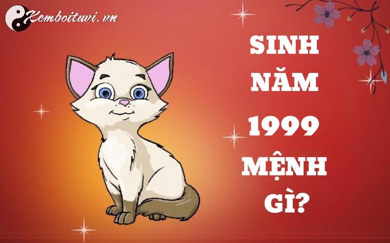 Người Sinh Năm 1999 Hợp Màu Gì Để Tăng Tài Lộc, May Mắn Và Tình Duyên