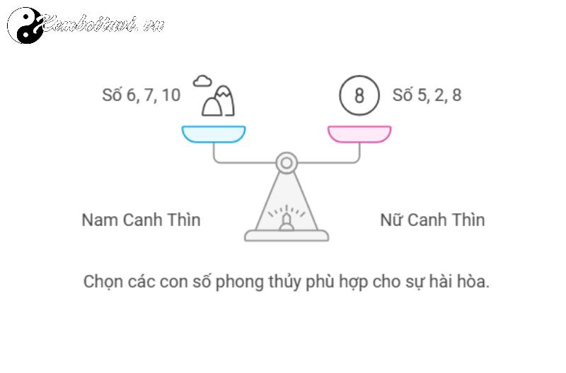 Khám Phá Con Số Hợp Tuổi 2000: Bí Quyết Chọn Sim Phong Thủy Mang Lại May Mắn