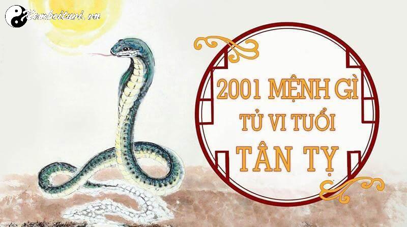 Hé Lộ Bí Quyết Chọn Hướng Kê Giường Ngủ Giúp Người Sinh Năm 2001 Tài Lộc Dồi Dào!