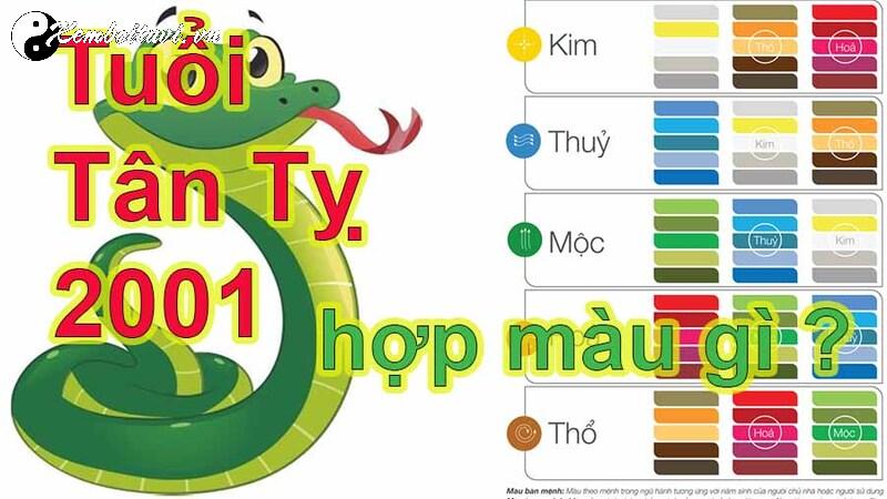 Khám Phá Bí Mật Màu Sắc Hợp Tuổi Tân Tỵ 2001 – Tăng May Mắn Và Tài Lộc Ngay Hôm Nay!