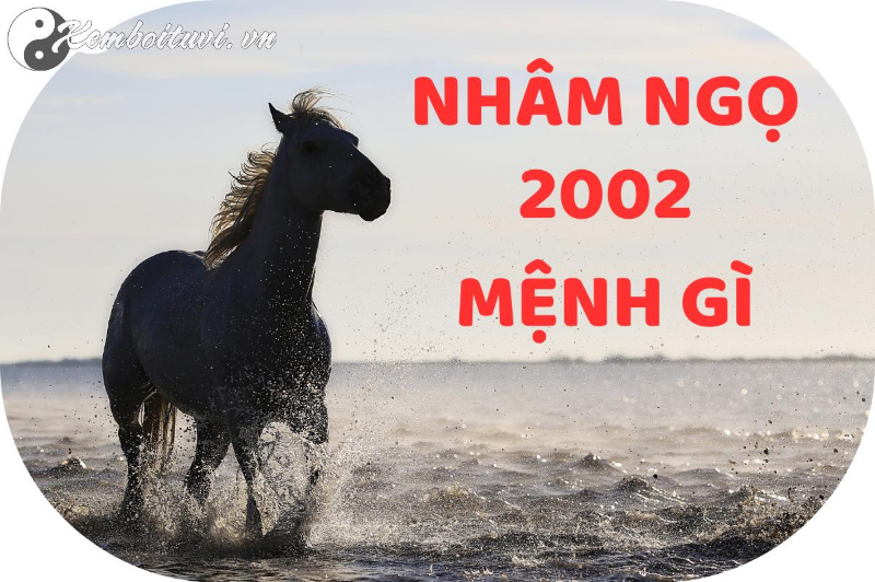 Người Sinh Năm 2002 Nhất Định Phải Biết: Chọn Màu Xe Nào Để Hút Tài Lộc, May Mắn?