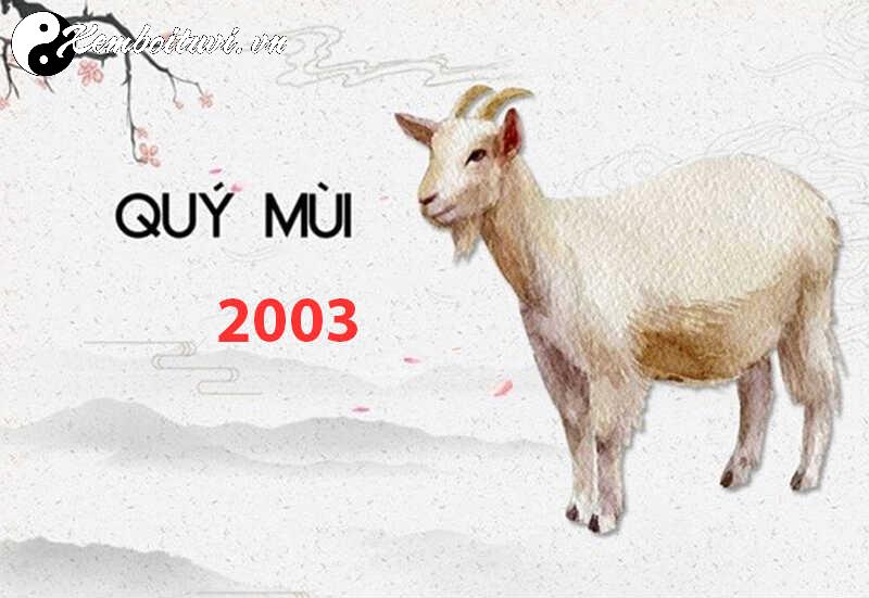 Khám Phá Màu Sắc Mang Lại May Mắn Cho Người Sinh Năm 2003