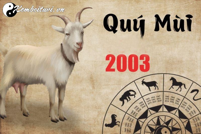 Người Sinh Năm 2003 Phải Biết: Màu Xe Nào Mang Lại May Mắn Và Tài Lộc?