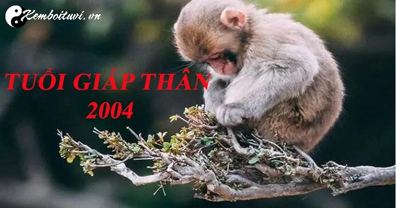 Khám Phá Hướng Bàn Làm Việc Giúp Người Sinh Năm 2004 Thu Hút Tài Lộc Và Thành Công