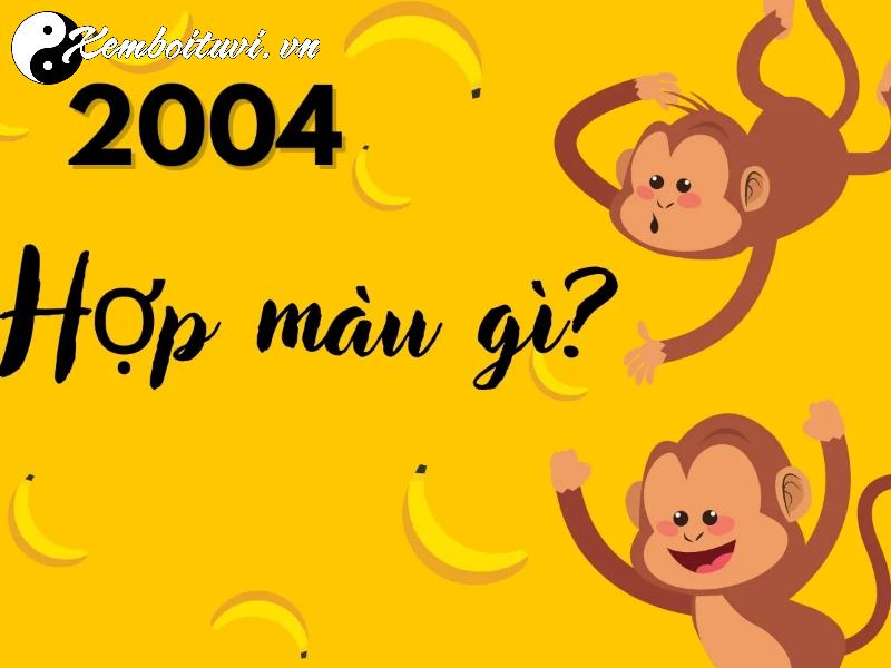 Sinh Năm 2004 Hợp Màu Gì? Bí Quyết Chọn Màu Phong Thủy Để May Mắn Cả Đời!