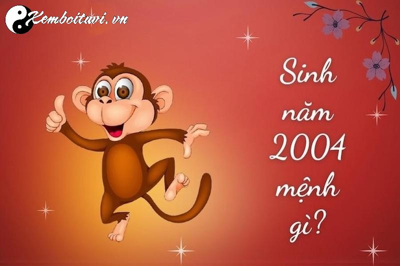 Sinh Năm 2004 Hợp Màu Gì? Bí Quyết Chọn Màu Phong Thủy Để May Mắn Cả Đời!