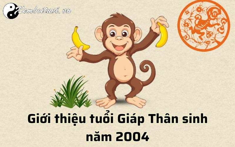 Người Sinh Năm 2004: Bí Mật Về Con Số Hợp Và Sim Phong Thủy Mang Tài Lộc Bất Ngờ!