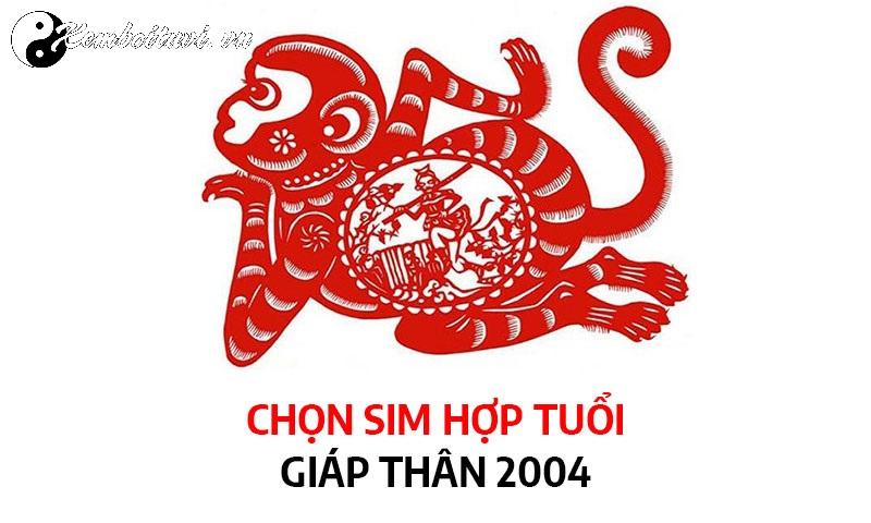 Người Sinh Năm 2004: Bí Mật Về Con Số Hợp Và Sim Phong Thủy Mang Tài Lộc Bất Ngờ!