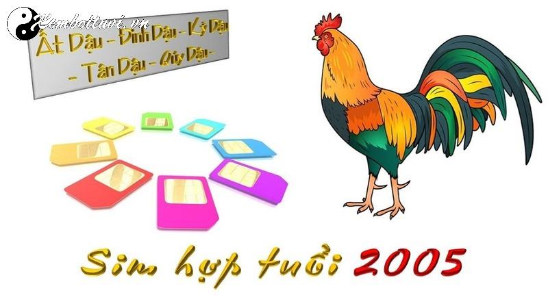 Khám Phá Bí Mật Số May Mắn Cho Tuổi Ất Dậu 2005 – Cách Chọn Sim Phong Thủy Hút Tài Lộc