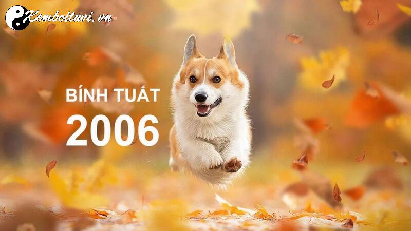 Sinh Năm 2006: Bí Quyết Chọn Màu Xe Hợp Phong Thủy Để Thu Hút May Mắn Và Tài Lộc!