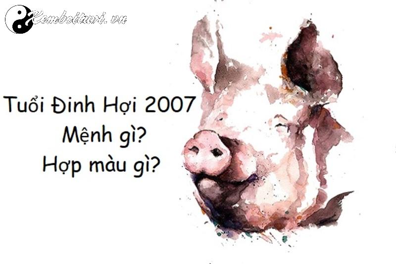 Người Sinh Năm 2007 Hợp Màu Gì? Khám Phá Bí Mật Phong Thủy Giúp Tăng Vận May, Tài Lộc!