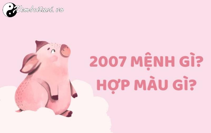 Người Sinh Năm 2007 Hợp Màu Gì? Khám Phá Bí Mật Phong Thủy Giúp Tăng Vận May, Tài Lộc!