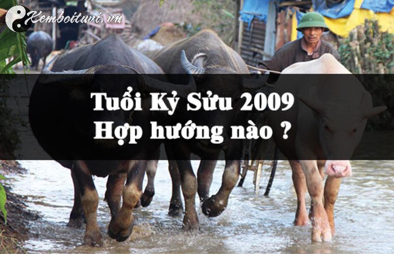 Bí Mật Phong Thủy: Người Sinh Năm 2009 Hợp Hướng Nào Để Thu Hút May Mắn?