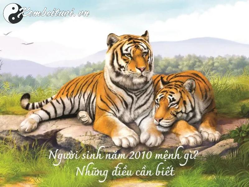 Tuổi Canh Dần 2010: Chọn Hướng Kê Giường Ngủ Đúng, Đón Lộc Vào Nhà!