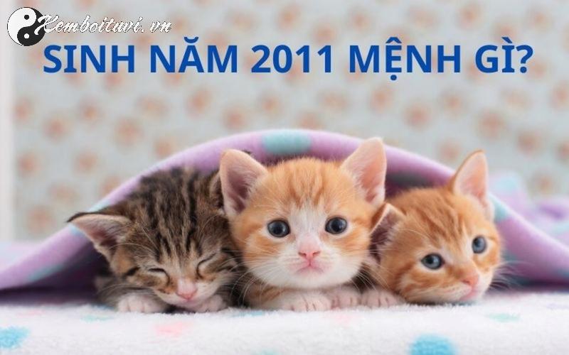 Sinh Năm 2011 Hợp Số Nào? Bí Quyết Chọn Sim Phong Thủy Hút Tài Lộc Và Vận May!