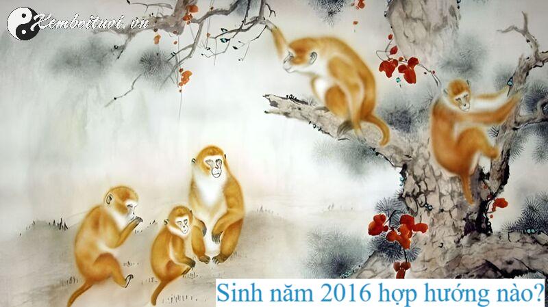 Sinh Năm 2016 Hợp Hướng Nào? Bí Quyết Chọn Hướng Nhà Phong Thủy