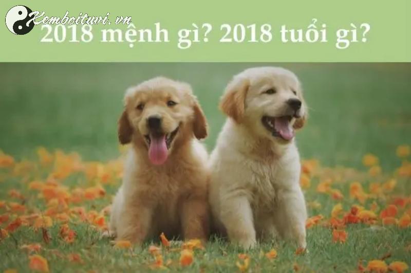 Sinh Năm 2018 Hợp Màu Gì? Chọn Đúng Màu, Hút Tài Lộc, Tránh Xui Rủi!