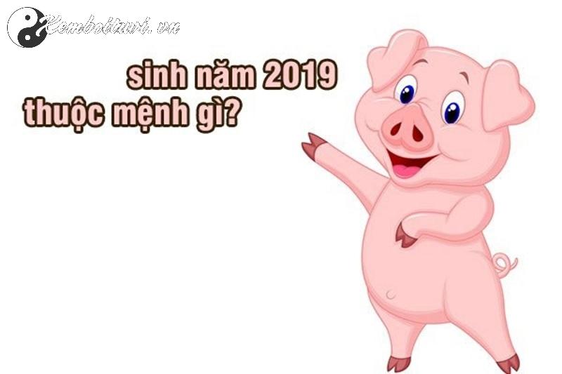 Sinh Năm 2019 Hợp Màu Gì? Chọn Đúng Màu, Đổi Vận May Ngay Hôm Nay!