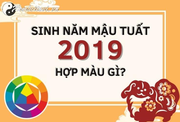 Sinh Năm 2019 Hợp Màu Gì? Chọn Đúng Màu, Đổi Vận May Ngay Hôm Nay!