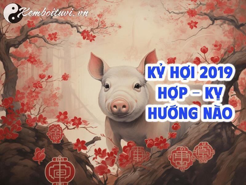 Sinh Năm 2019 Hợp Hướng Nào? Chọn Sai Hướng, Vận Mệnh Đổi Chiều!